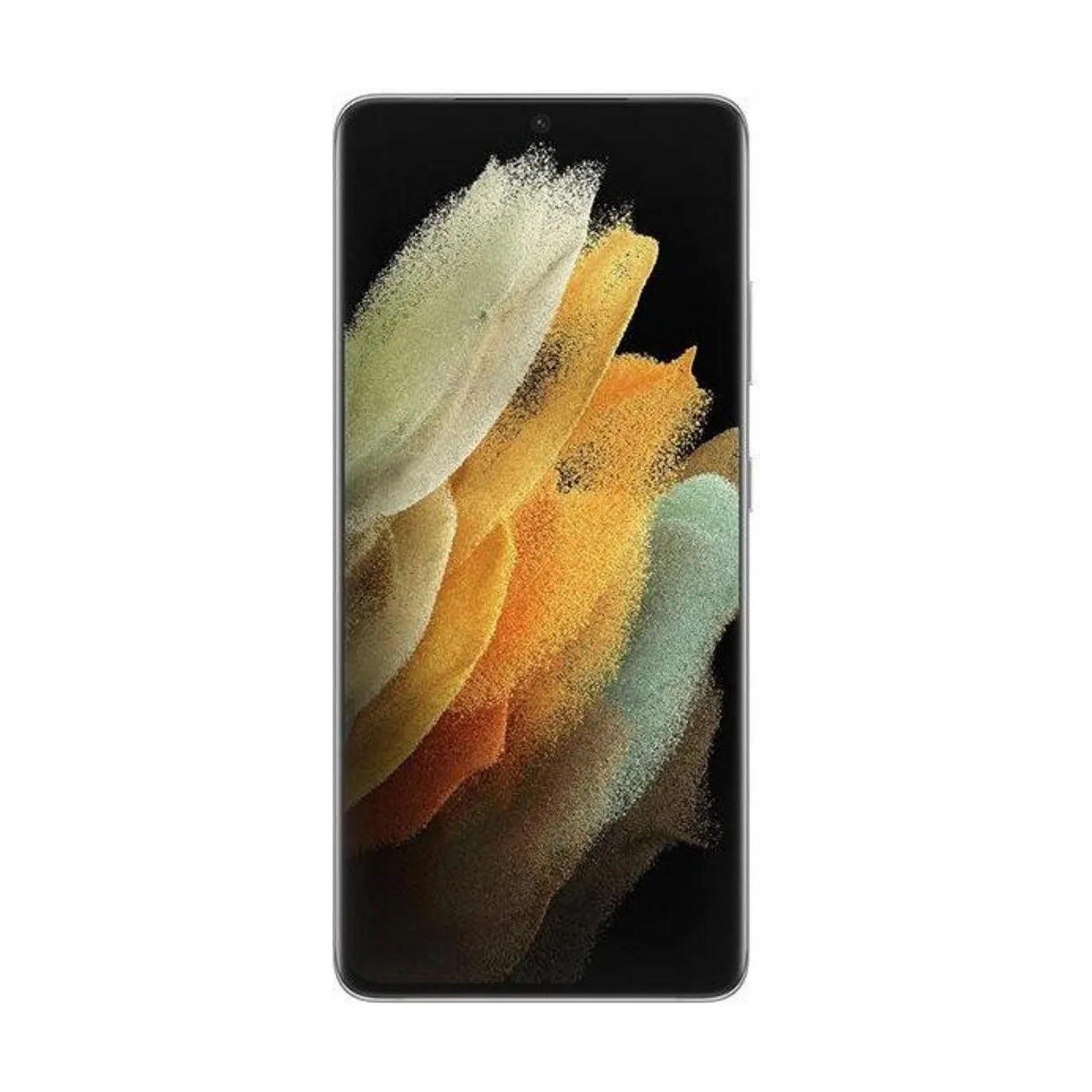 Samsung Galaxy S21 Ultra 512 Go Argent